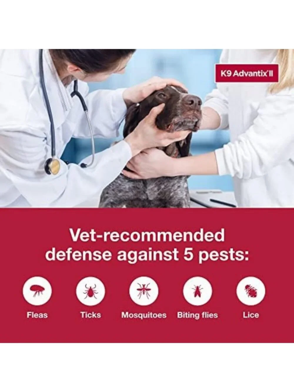 Vet-Recommended Flea, Tick & Mosquito Treatment for Large Dogs 55+ lbs | 6-Mo